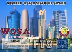 F4MAG-WQSA FT8DMC